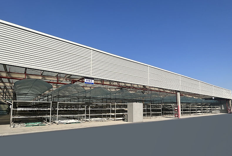 厂区晾晒棚